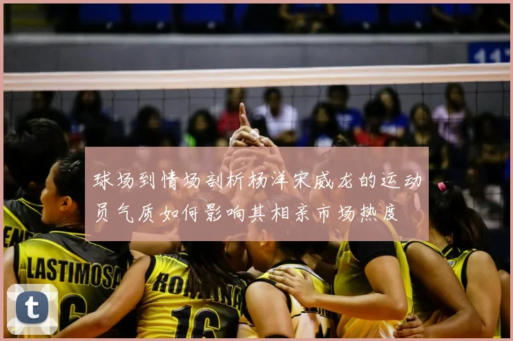 球场到情场剖析杨洋宋威龙的运动员气质如何影响其相亲市场热度