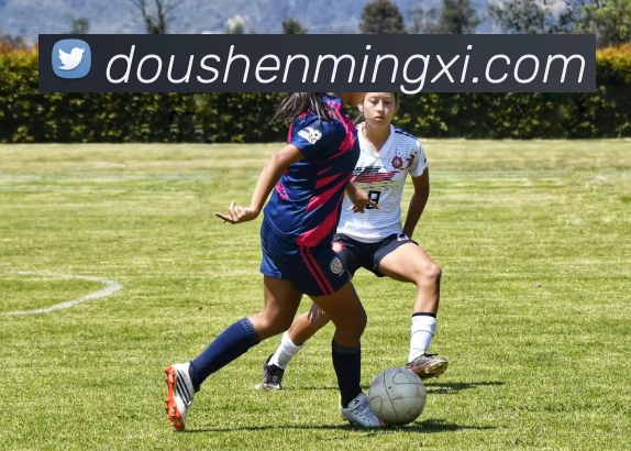 球场到情场剖析杨洋宋威龙的运动员气质如何影响其相亲市场热度