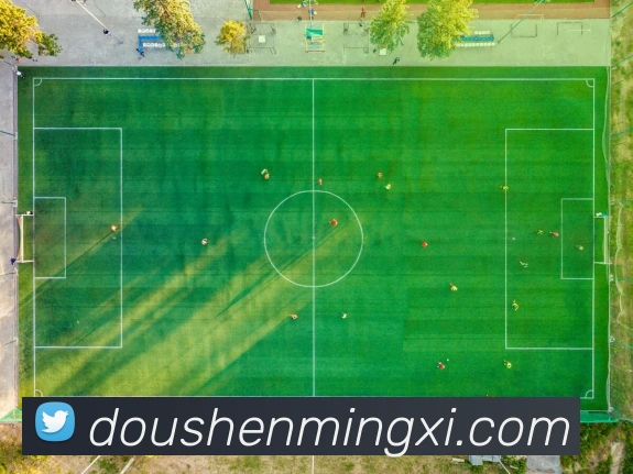 多媒体互动体验